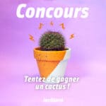 concours-cactus-2-blog