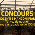 concours-innocenti-blog