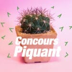 concours-piquant-blog