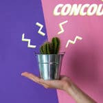 concours-sept-cactus-blog.png