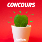 concours_coeurblog