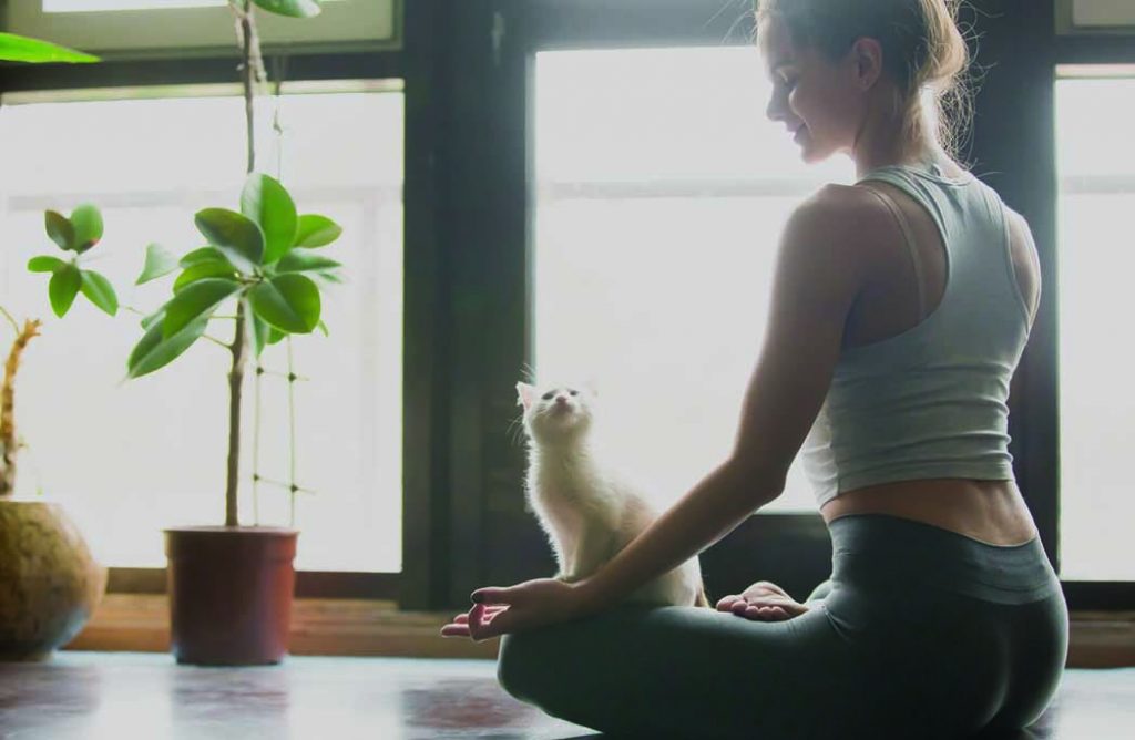 Femme en position du lotus avec chaton