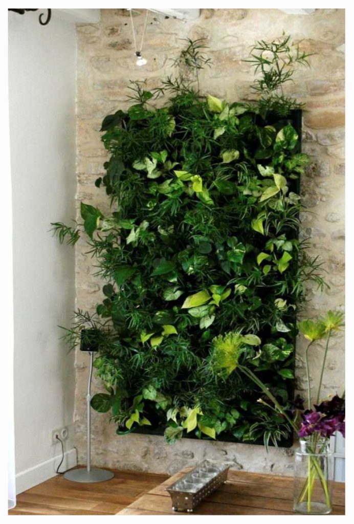 Comment créer un mur végétal d'intérieur ? - Jardiland