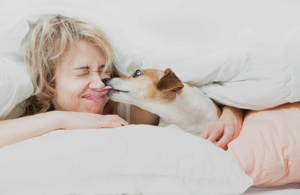 Pour Ou Contre Dormir Avec Son Animal De Compagnie Depuis Mon Hamac