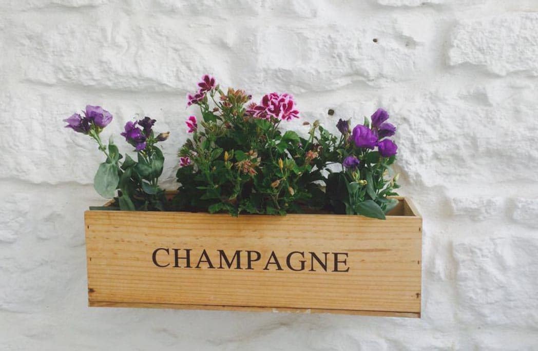 fleurs dans caisse à champagne en guise de jardinière accrochée au mur