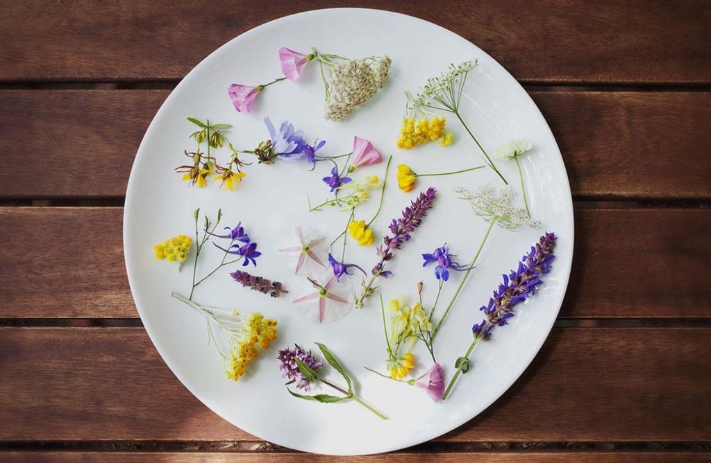 #FOOD : 10 fleurs comestibles au menu