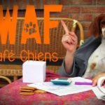 waf_cafe_chiens