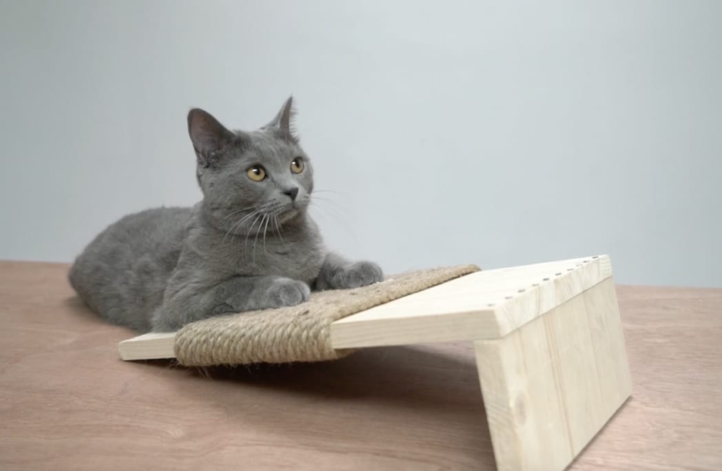 #DIY : Créer un griffoir design pour son chat