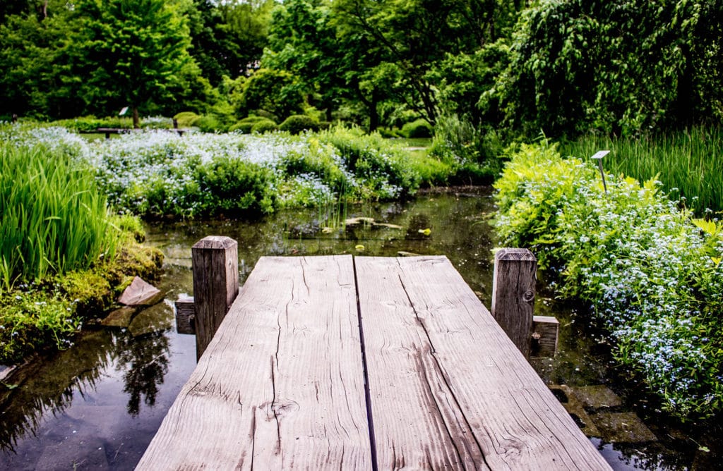 9 conseils pour un jardin 100% Feng Shui