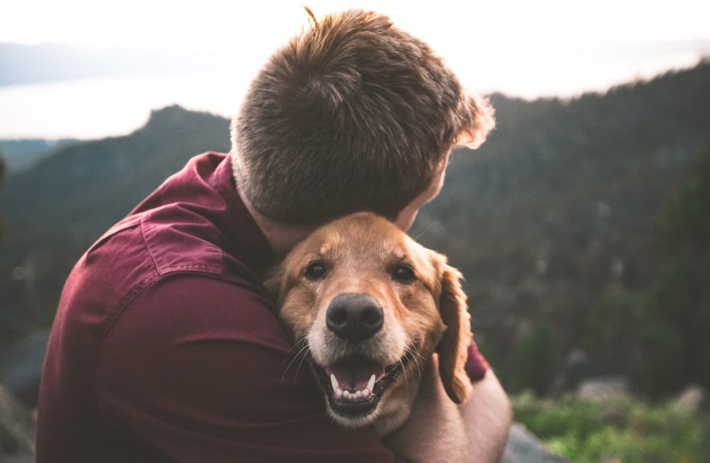 Calin avec un chien