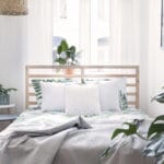 chambre_plantes