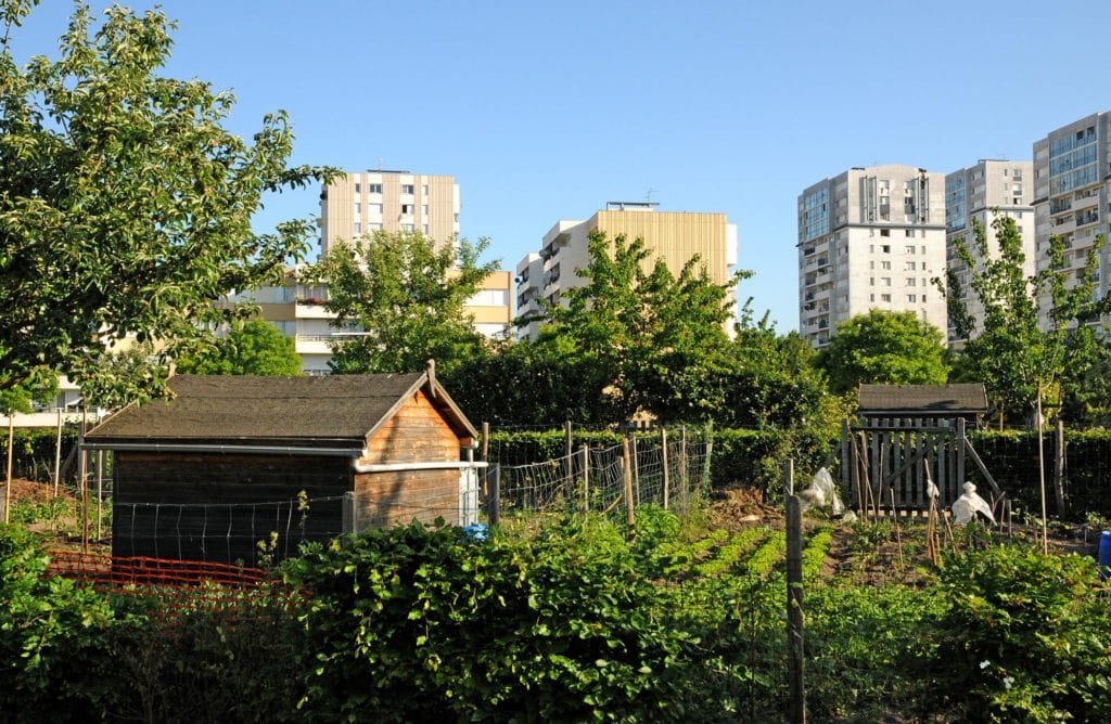 Ferme urbaine