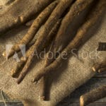 AdobeStock_183017594_Preview