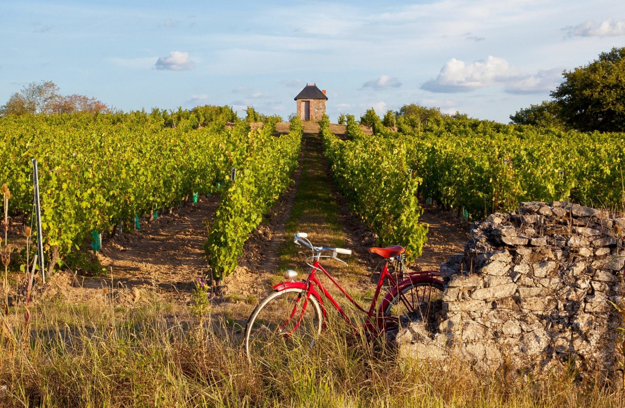 5 itinéraires pour visiter la France à vélo cet été