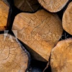 AdobeStock_343747472_Preview