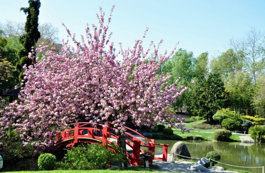 Top 7 des jardins japonais à découvrir en France