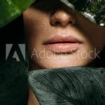 AdobeStock_250824670_Preview (1)