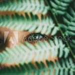 AdobeStock_254590671_Preview