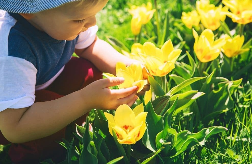 7 bienfaits du jardinage pour les enfants