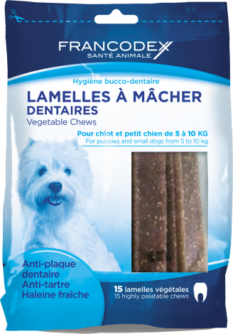 Ma wishlist de Noël pour mon chien - Depuis mon hamac