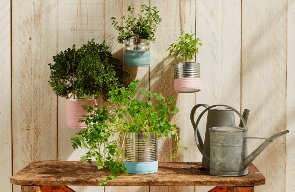 Recycler ses boites de conserve en pots suspendus pour ses plantes aromatiques