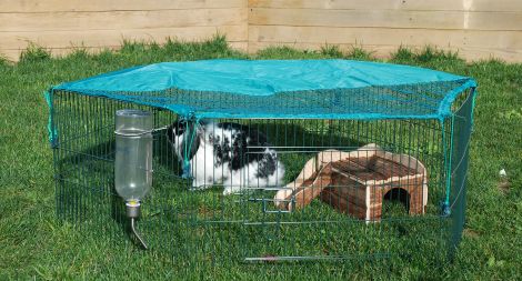 8 idées d'aménagement d'enclos extérieur pour lapin nain - Depuis mon hamac