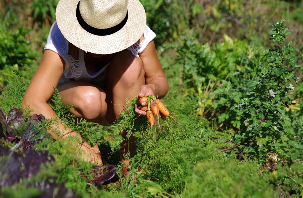 4 preuves que le jardinage c'est du sport ! - Depuis mon hamac