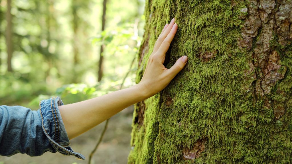 10 plaisirs simples pour se reconnecter à la nature