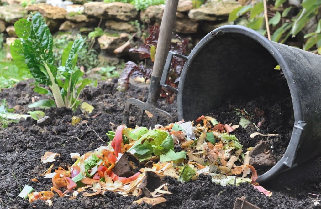 Êtes-vous un jardinier écolo?