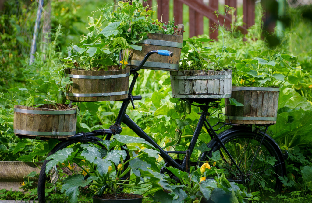 5 idées pour recycler son vélo au jardin