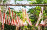 Animer jardin jour de vent AdobeStock_416748412